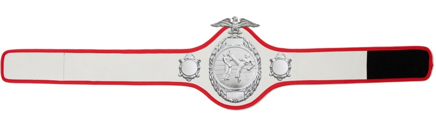 KICKBOXING CHAMPIONSHIP BELT-PRO288/S/KBOS - 10 COLOURS